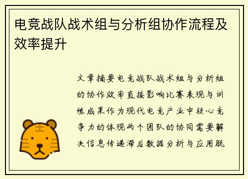电竞战队战术组与分析组协作流程及效率提升